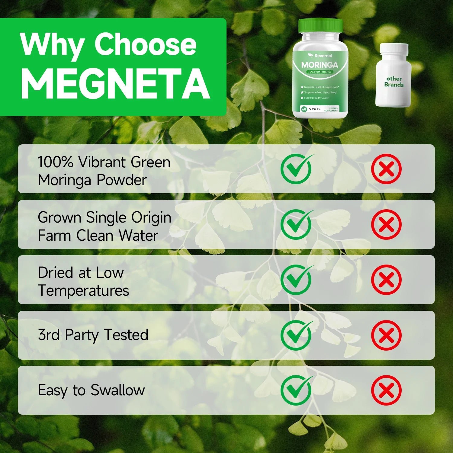Quitmood Moringa Powder Capsules - 800mg of Pure Nutrient-Rich Moringa Powder - A Natural Green Antioxidant Superfood