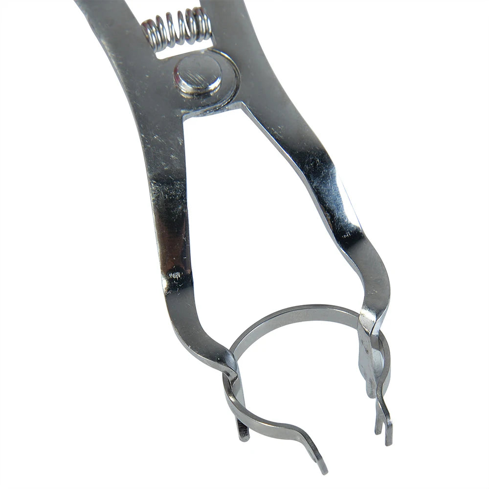 Dental Plier for Sectional Contoured Metal Matrices Rings Clips Dentist Orthodontic Supplies Stainless Steel Materials 1 Pcs