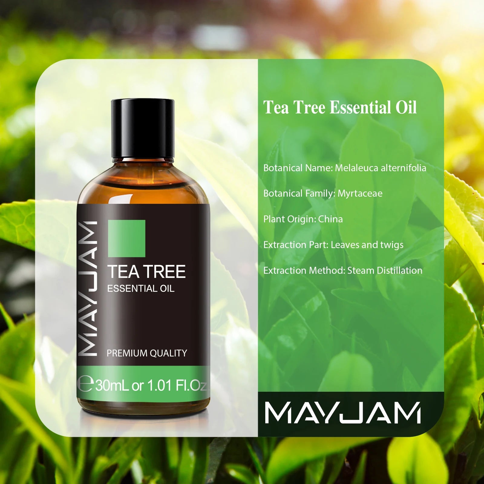 MAJYAM 30ml Pure Natural Tea Tree Essential Oils Diffuser Aromatic Oil Eucalyptus Mint Lemon Rosemary Cinnamon Lemongrass Oil