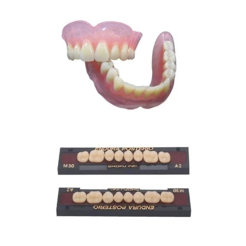 Dental Materials Plastic Steel Teeth Resin Teeth Porcelain Veneers Dentures Full Dentures Oral Accessories Equipment Tools