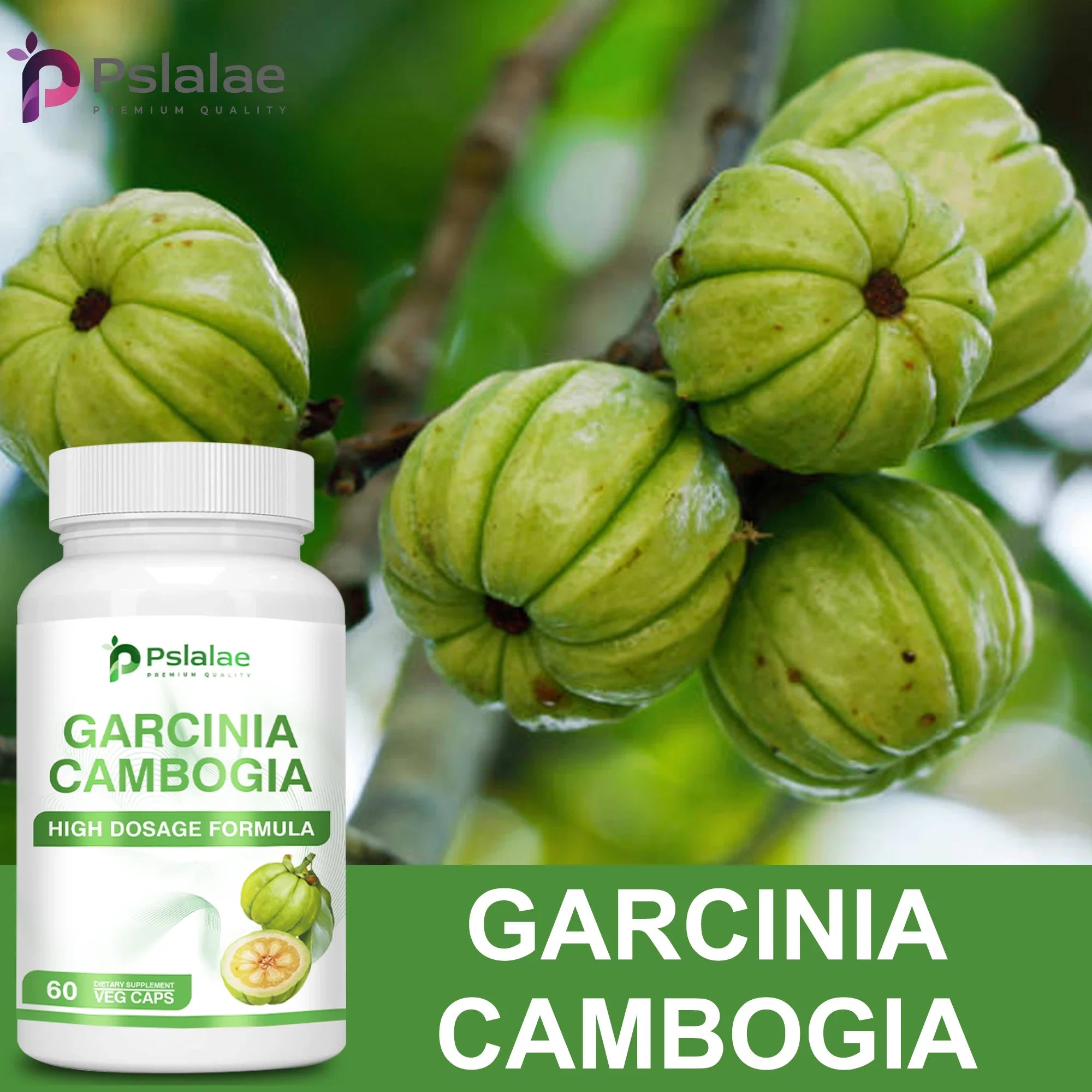 Garcinia Cambogia - Fat Burner, Cellulite, Weight Management, Appetite Suppressant - 60 Capsules