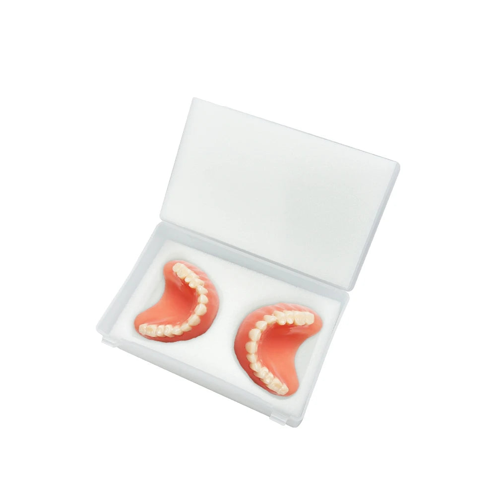 Denture Storage Boxes Dental Implant Storage Plastic Tooth Box With Foam Sponge Teeth Clinic Case Dentist Consumables